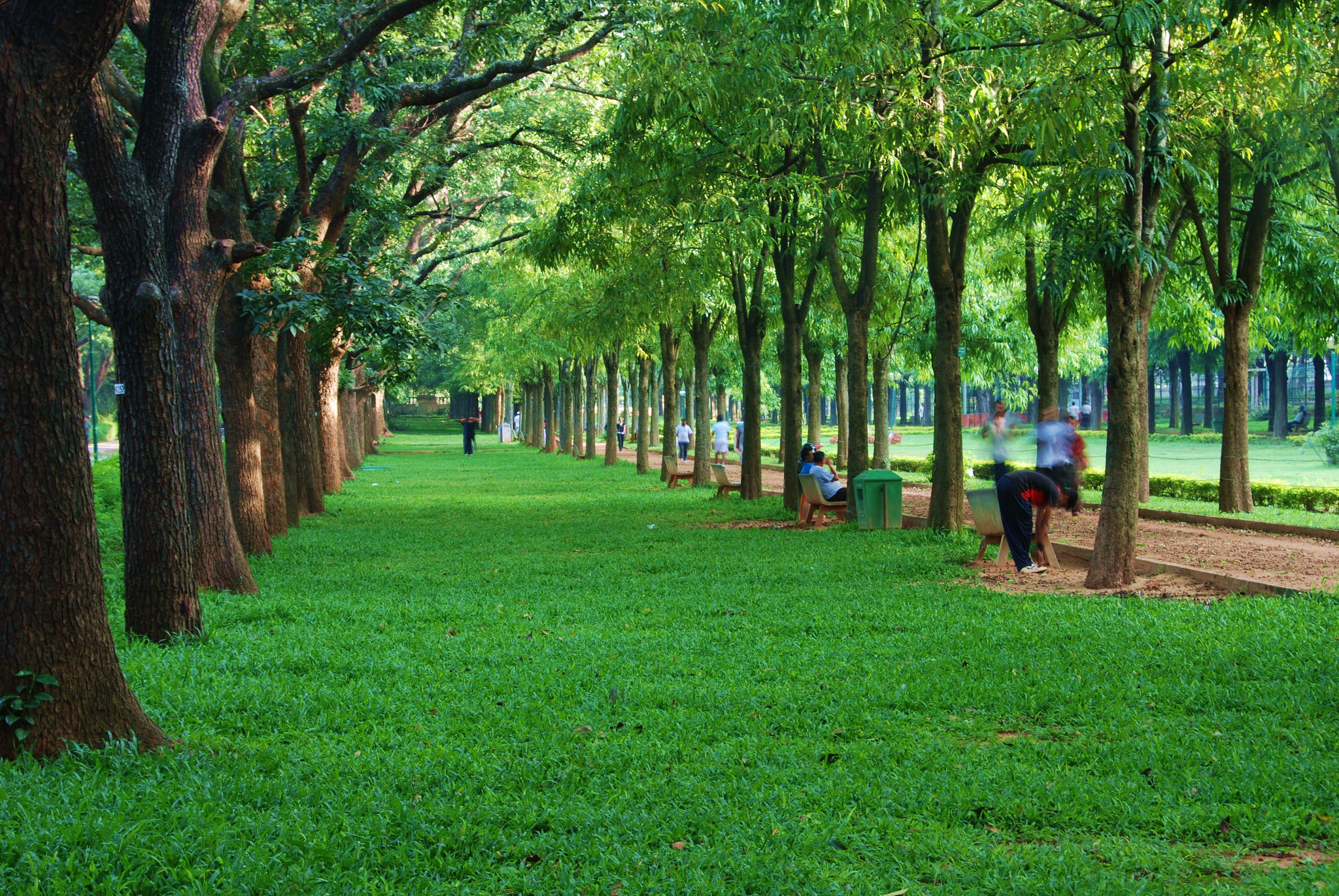 Cubbon Park, Bangalore: History, Location, Timings, Entry fee